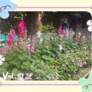 ヒメ日記 2025/06/22 15:19 投稿 かりん 完熟ばなな八王子