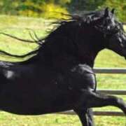 ヒメ日記 2026/01/06 00:09 投稿 かりん 完熟ばなな八王子