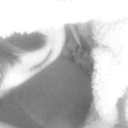 ヒメ日記 2025/06/23 23:09 投稿 りか 完熟ばなな八王子