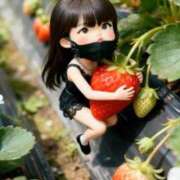 ヒメ日記 2026/02/01 07:49 投稿 りか 完熟ばなな八王子