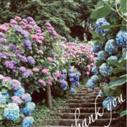 しょうこ 昨日もありがとうございました(^o^) モアグループ川越人妻花壇