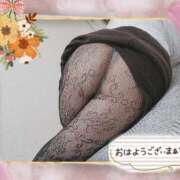 ヒメ日記 2025/10/11 10:14 投稿 さら 熟女の風俗最終章 仙台店