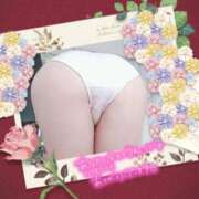 ヒメ日記 2026/02/28 10:31 投稿 さら 熟女の風俗最終章 仙台店