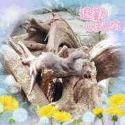 ヒメ日記 2026/03/10 00:54 投稿 さら 熟女の風俗最終章 仙台店