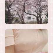 ヒメ日記 2026/04/08 11:21 投稿 さら 熟女の風俗最終章 仙台店