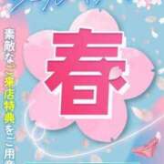 ヒメ日記 2026/03/22 11:31 投稿 ひとみ シークレットタッチ