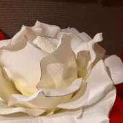 ヒメ日記 2025/12/05 00:37 投稿 木内由美 五十路マダム 博多店