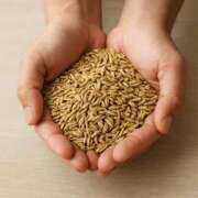 ヒメ日記 2025/12/20 20:21 投稿 木内由美 五十路マダム 博多店