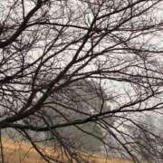 ヒメ日記 2025/12/30 10:17 投稿 木内由美 五十路マダム 博多店