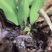 ヒメ日記 2026/02/16 12:57 投稿 木内由美 五十路マダム 博多店