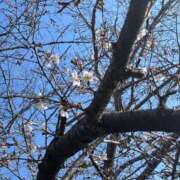 ヒメ日記 2026/03/23 15:57 投稿 木内由美 五十路マダム 博多店