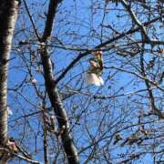 ヒメ日記 2026/03/24 15:55 投稿 木内由美 五十路マダム 博多店