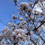 ヒメ日記 2026/03/30 14:37 投稿 木内由美 五十路マダム 博多店