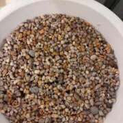 ヒメ日記 2026/04/10 15:57 投稿 木内由美 五十路マダム 博多店