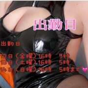 ヒメ日記 2025/12/11 00:50 投稿 このは 僕らのぽっちゃリーノin越谷