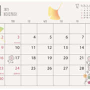 ヒメ日記 2025/11/17 17:11 投稿 ねね 彼女の部屋本店