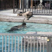 ヒメ日記 2026/03/22 16:54 投稿 ねね 彼女の部屋本店