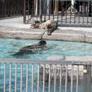 ヒメ日記 2026/03/22 16:55 投稿 ねね 彼女の部屋本店