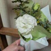 ヒメ日記 2026/03/16 08:14 投稿 まいな 即アポ奥さん ～津・松阪店～