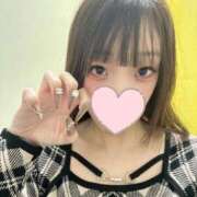 ヒメ日記 2026/01/31 11:55 投稿 ひめの One More奥様　横浜関内店