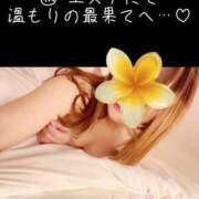 ヒメ日記 2025/11/15 15:21 投稿 南野りい 池袋㊙エステ～フル勃起～