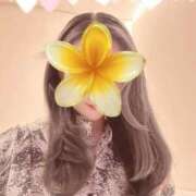 ヒメ日記 2025/11/24 15:02 投稿 南野りい 池袋㊙エステ～フル勃起～