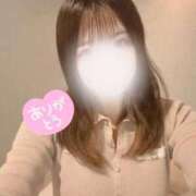 ヒメ日記 2025/09/19 23:20 投稿 はな 横浜ひよこ倶楽部