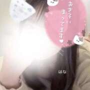 ヒメ日記 2025/10/14 07:56 投稿 はな 横浜ひよこ倶楽部