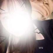 ヒメ日記 2025/10/20 21:51 投稿 はな 横浜ひよこ倶楽部