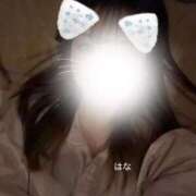 ヒメ日記 2025/11/03 20:06 投稿 はな 横浜ひよこ倶楽部