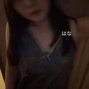 ヒメ日記 2025/12/18 22:46 投稿 はな 横浜ひよこ倶楽部