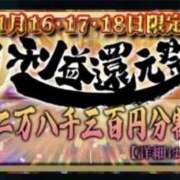 ヒメ日記 2025/11/18 12:56 投稿 みなと Seirenes (セイレネス)