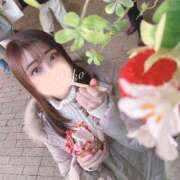 ヒメ日記 2026/02/18 10:17 投稿 えりこ 綺麗なお姉様専門　町田リング4C（アンジェリークグループ）