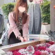 ヒメ日記 2026/04/01 16:49 投稿 えりこ 綺麗なお姉様専門　町田リング4C（アンジェリークグループ）