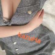 ヒメ日記 2026/01/13 17:01 投稿 江戸川かずは セクシーキャット 神田店