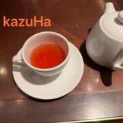 ヒメ日記 2026/01/31 09:20 投稿 江戸川かずは セクシーキャット 神田店