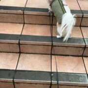 ヒメ日記 2026/02/12 16:27 投稿 眞白じゅり 池袋千姫