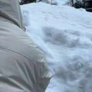 ヒメ日記 2026/02/17 04:37 投稿 眞白じゅり 池袋千姫