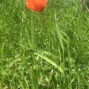 眞白じゅり ♒️ ☺️ 池袋千姫