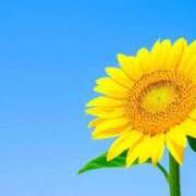 ヒメ日記 2025/07/02 19:35 投稿 ゆうほ 待ちナビ