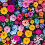 ヒメ日記 2025/08/30 13:05 投稿 ゆうほ 待ちナビ