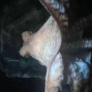 ヒメ日記 2025/07/16 21:52 投稿 みき クリステル