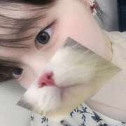 ヒメ日記 2025/06/25 19:44 投稿 ねね 学園collection