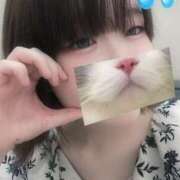 ヒメ日記 2025/07/09 17:05 投稿 ねね 学園collection