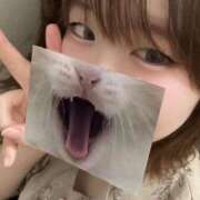 ヒメ日記 2025/08/08 11:14 投稿 ねね 学園collection