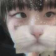 ヒメ日記 2025/08/11 18:06 投稿 ねね 学園collection