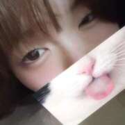 ヒメ日記 2025/10/17 16:14 投稿 ねね 学園collection