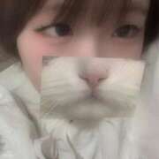 ヒメ日記 2025/11/17 16:00 投稿 ねね 学園collection