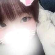 ヒメ日記 2025/11/20 15:44 投稿 ねね 学園collection