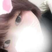 ヒメ日記 2025/11/26 12:54 投稿 ねね 学園collection